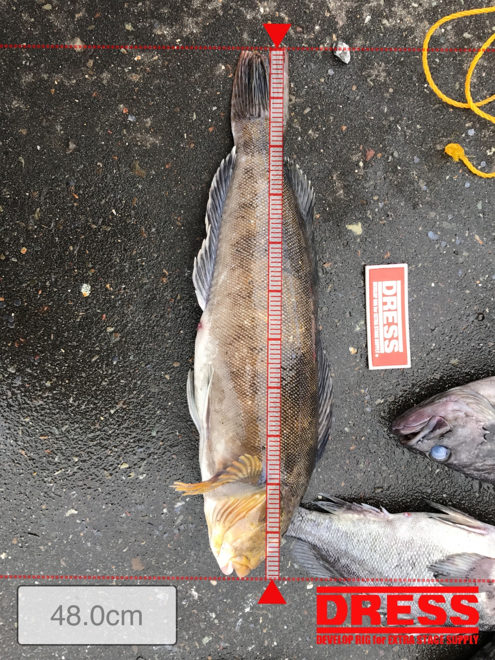 0_1013_8639dcda74b9f19a79cb8f6767b8ccad