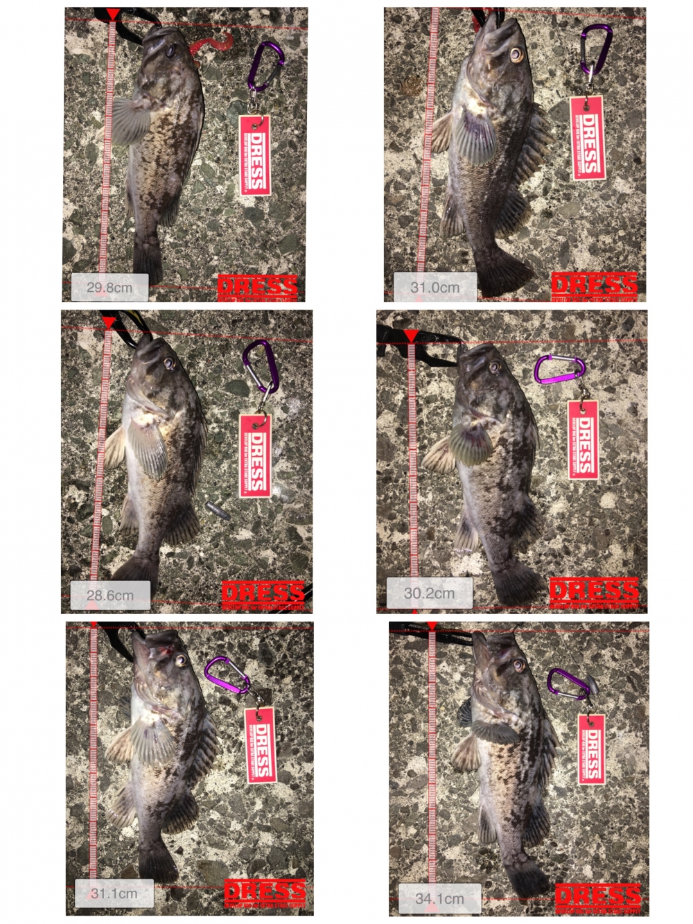 0_1271_3be9a61faf2e7f6c781dfb58aaa4725c