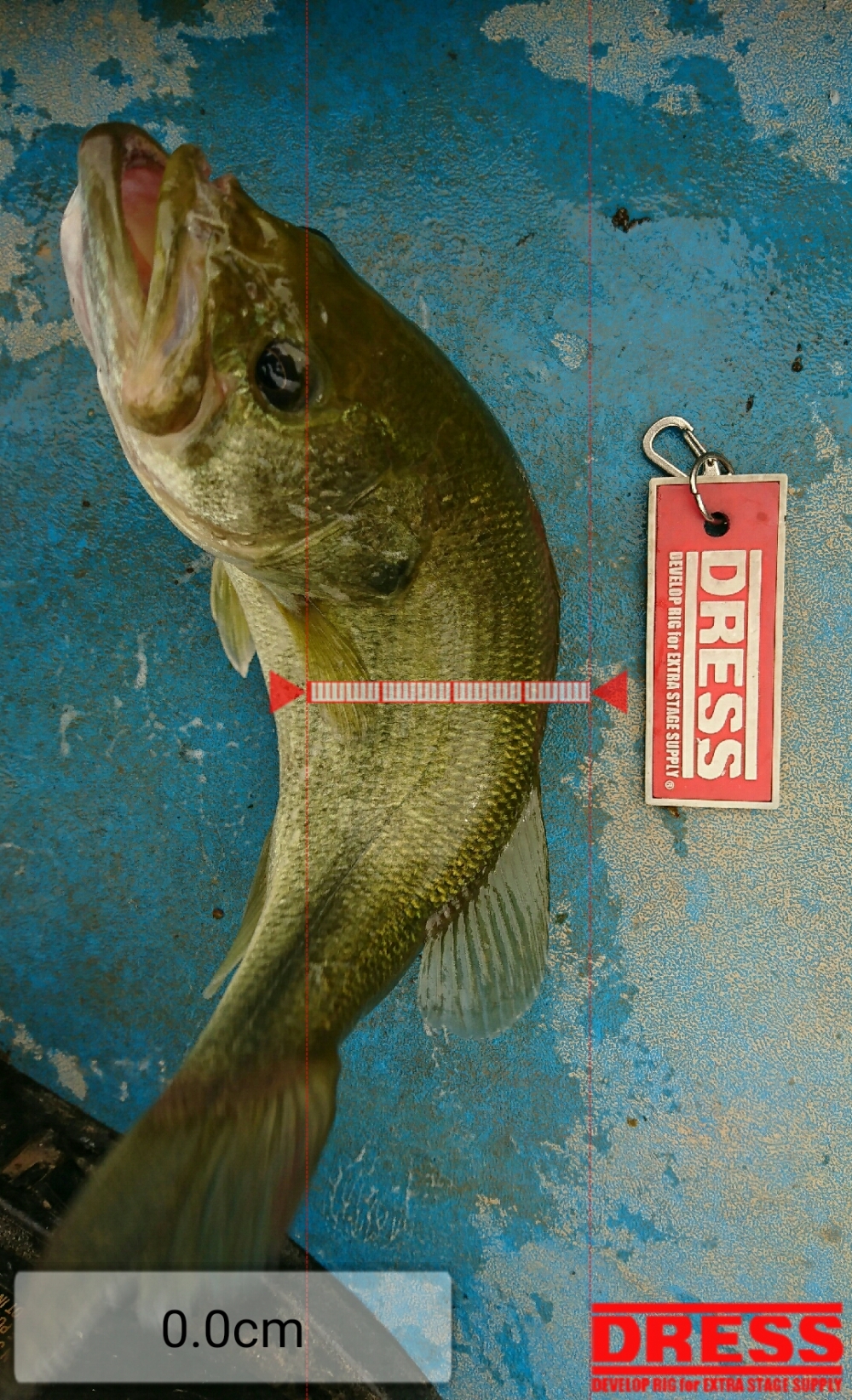 0_1370_9af1e607c9469325e6f8ceaae3e2439f