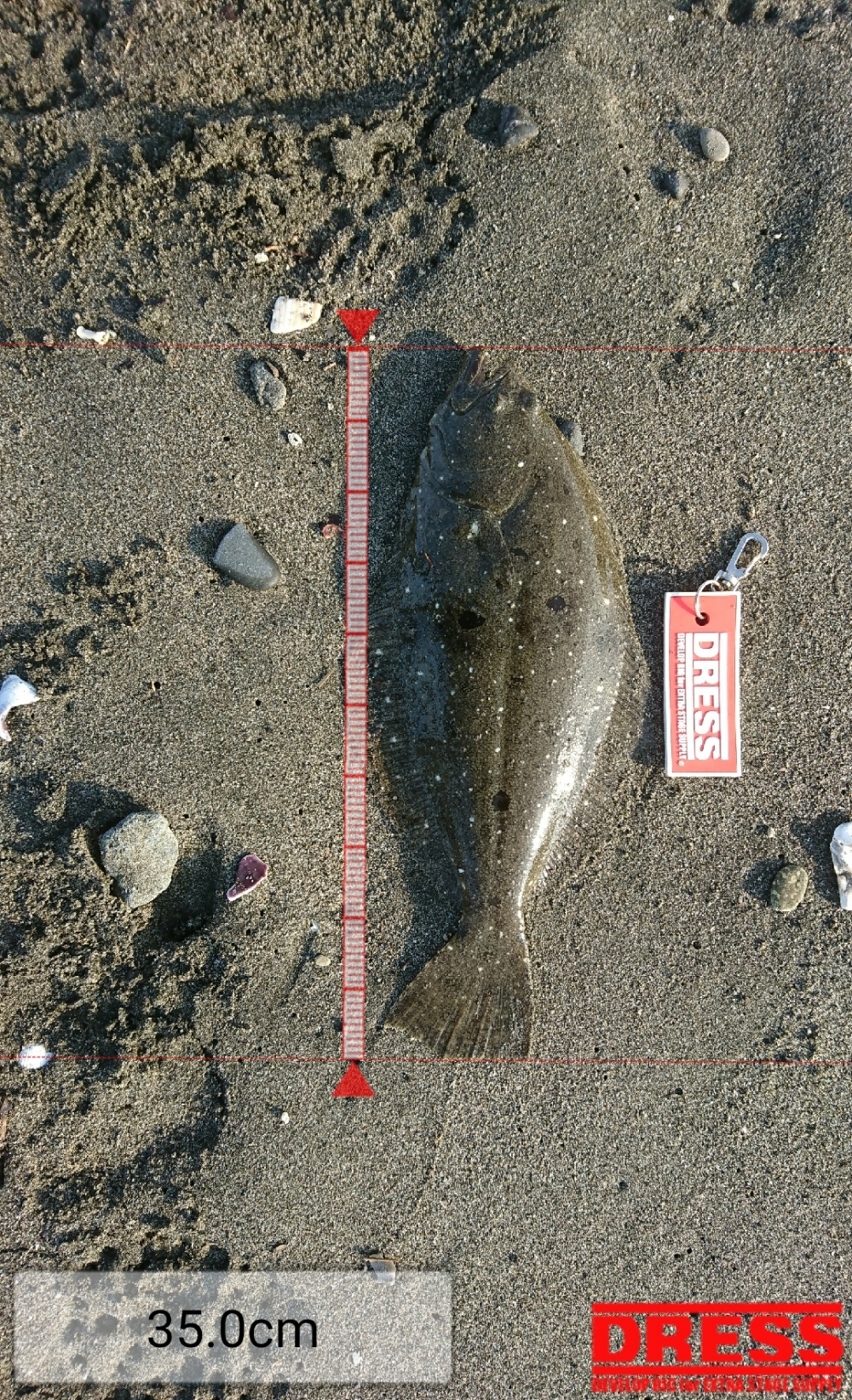 0_1430_d6397ed616301c5ea040d5d1e41478cf