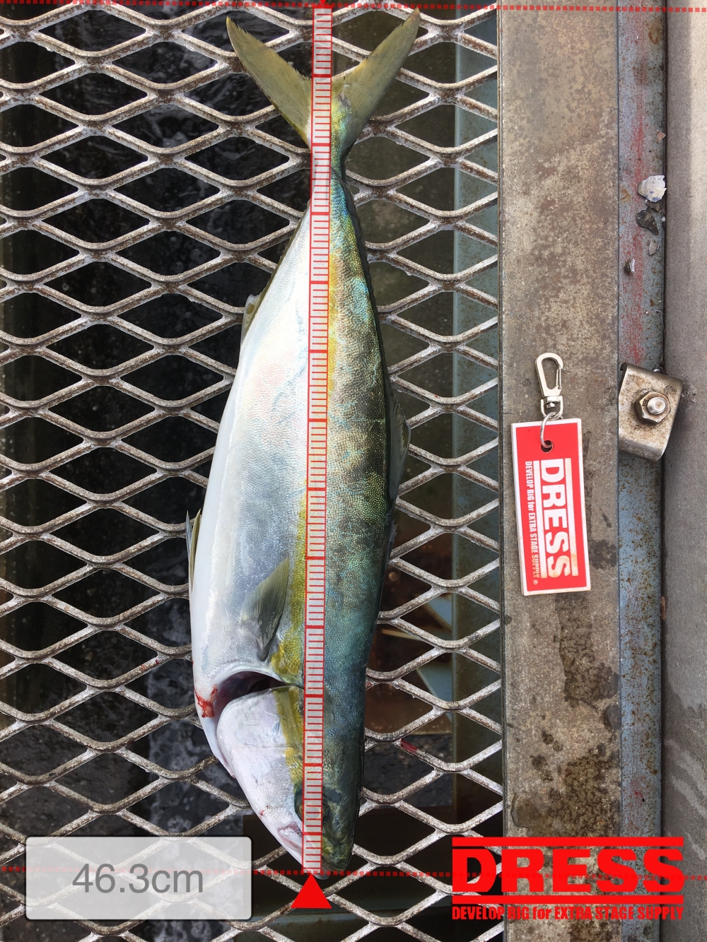 0_1560_bb4015f9451dca6b0aef4197d9a35c9b