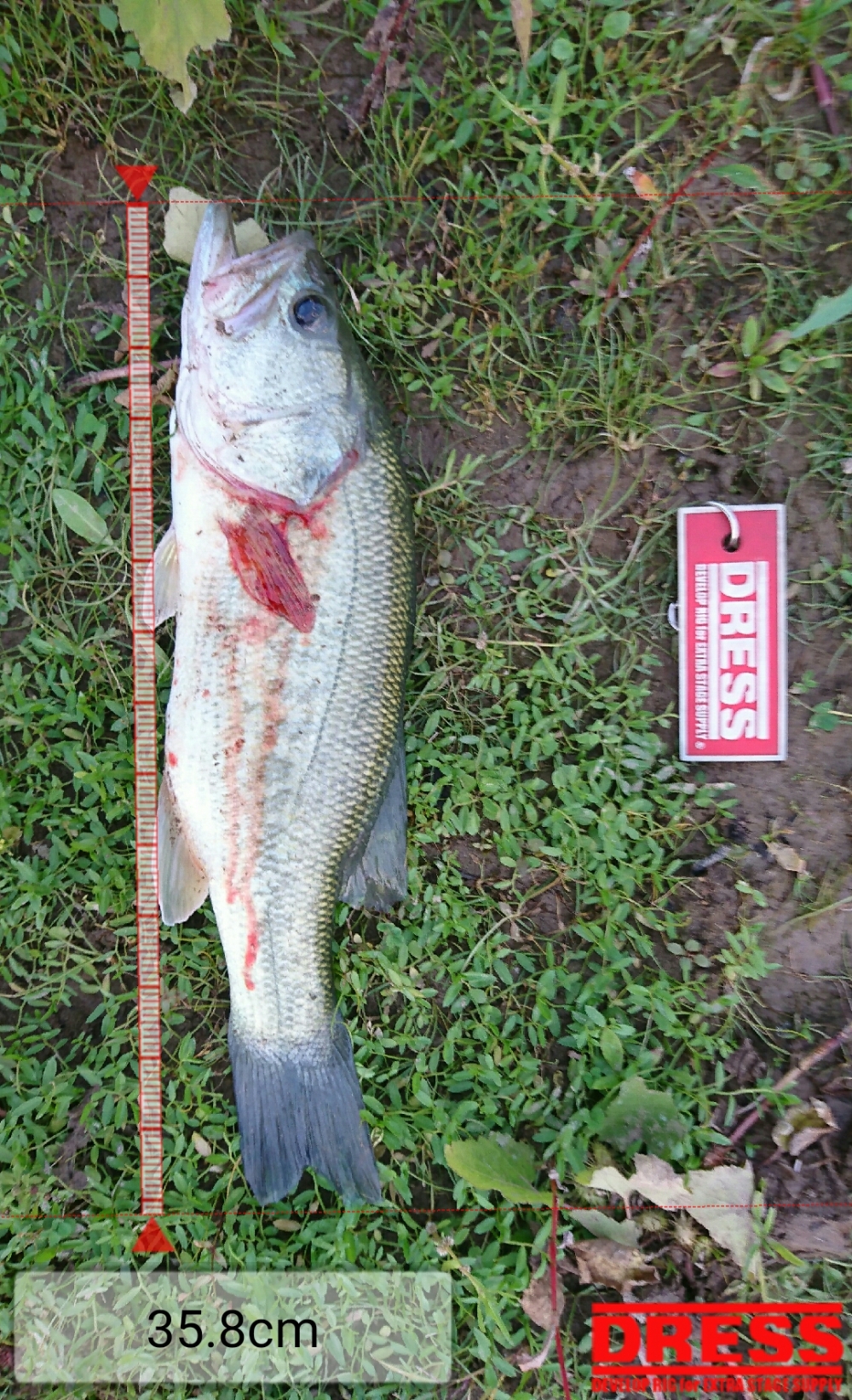 0_1693_92fa94e75a13ffdd586a58eface4b944