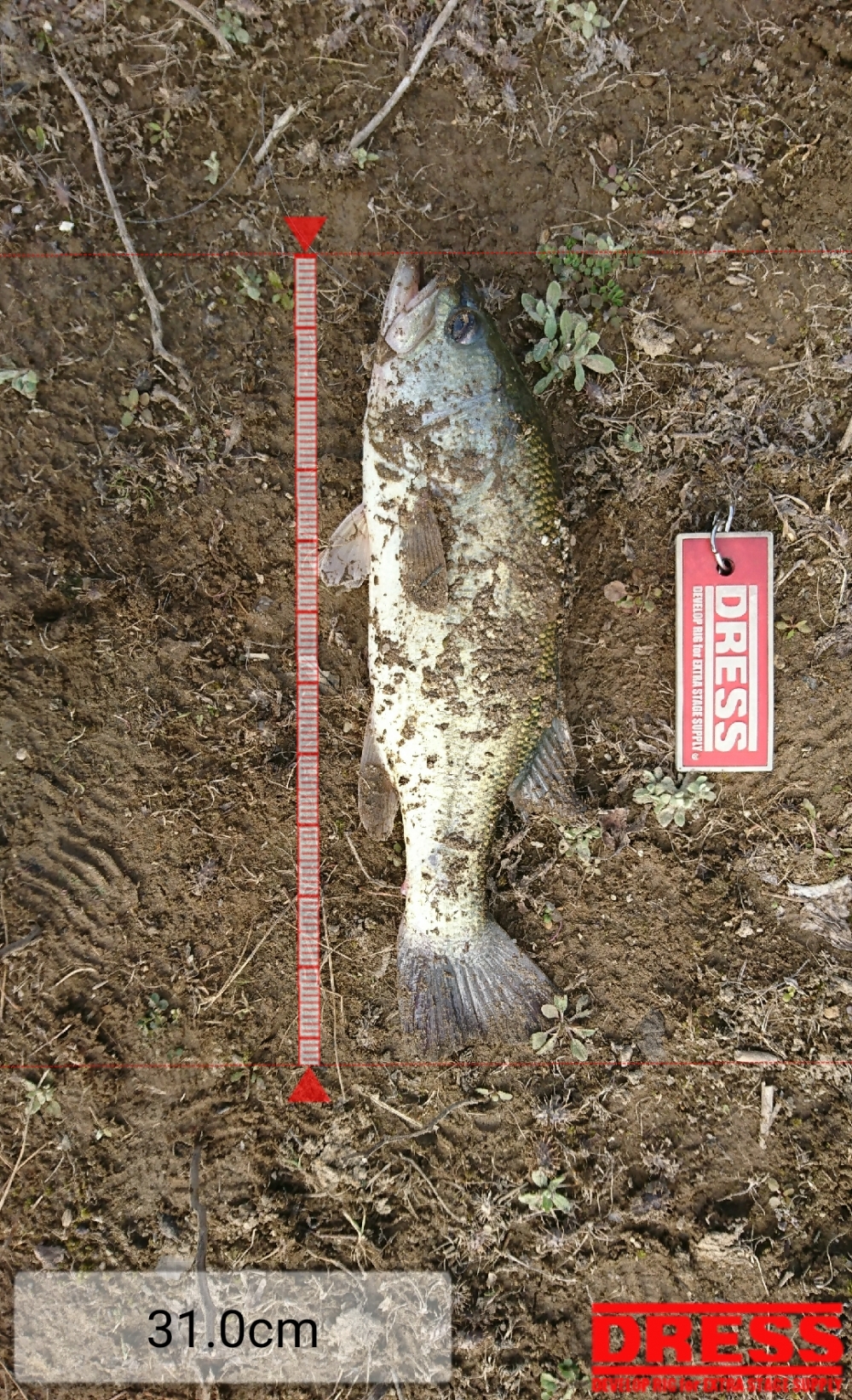 0_2007_207ae3fa02ca1f0fd06582f1f6b20790