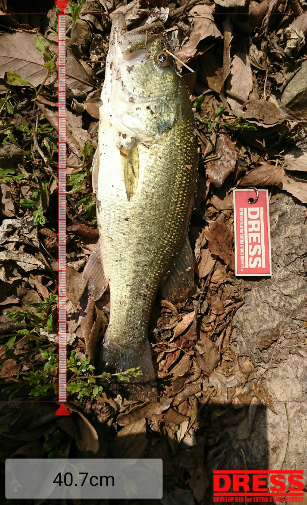 0_2059_5c5dcb8dcd517390e2fe054afdc395e8
