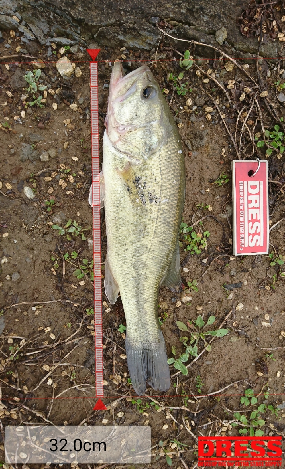 0_2107_eb6a562c1555b3dd00dd6028848ce6b1