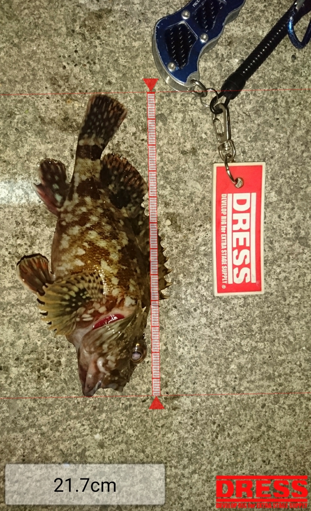 0_2339_cf887a53be0f51bfd6c32bd0dd113451