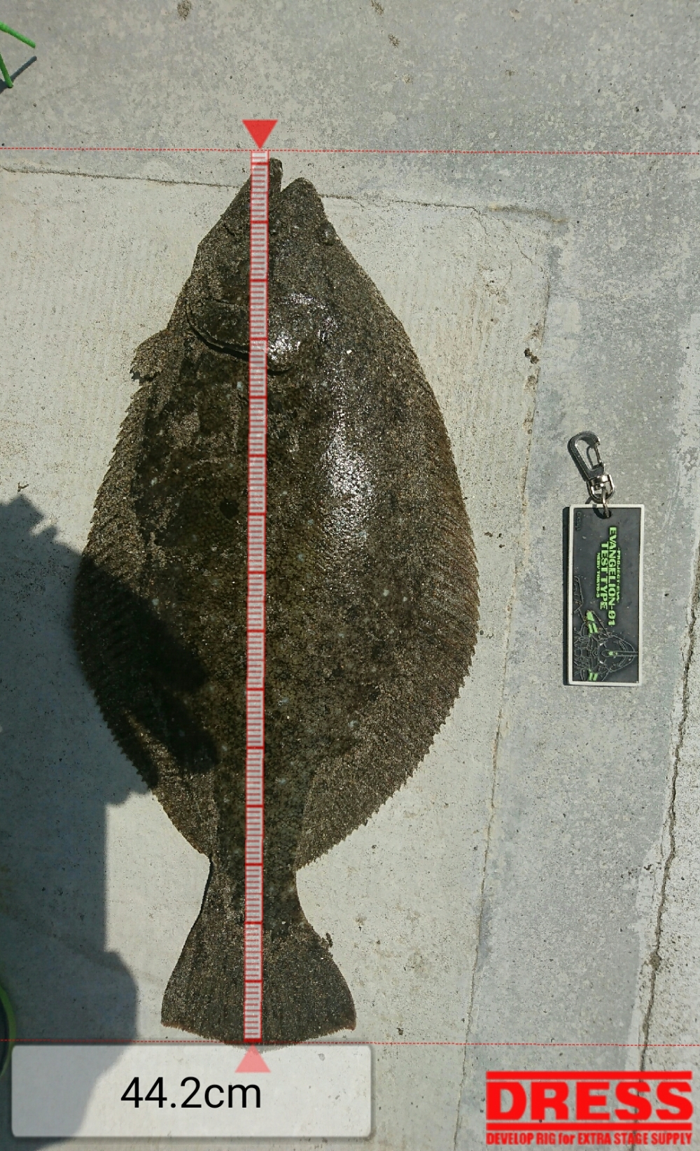 0_2400_4916e1ce7c001eacd1bd5b07de1c157f