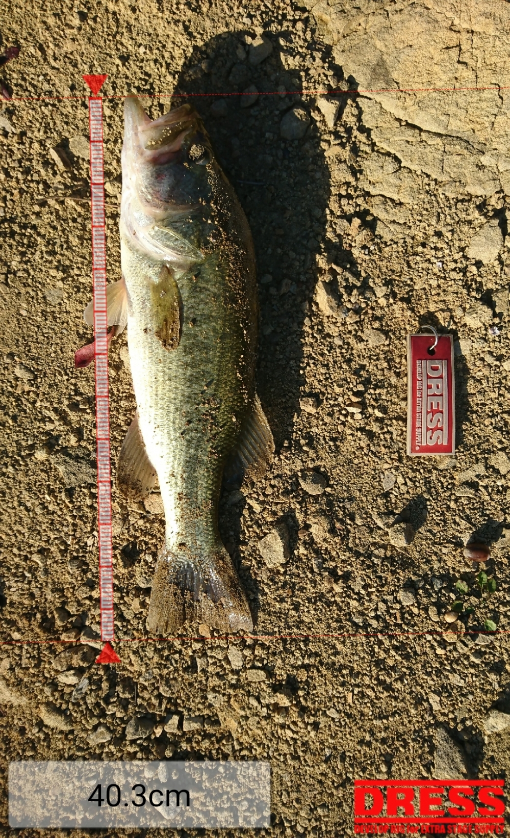 0_3141_9c095230b5ee81286bd0aa447751ebce