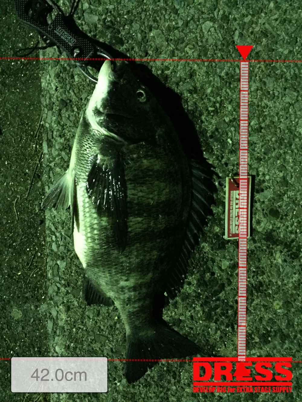 0_332_d01c5d0aa60e9fcf140bbf4ffc773b2d