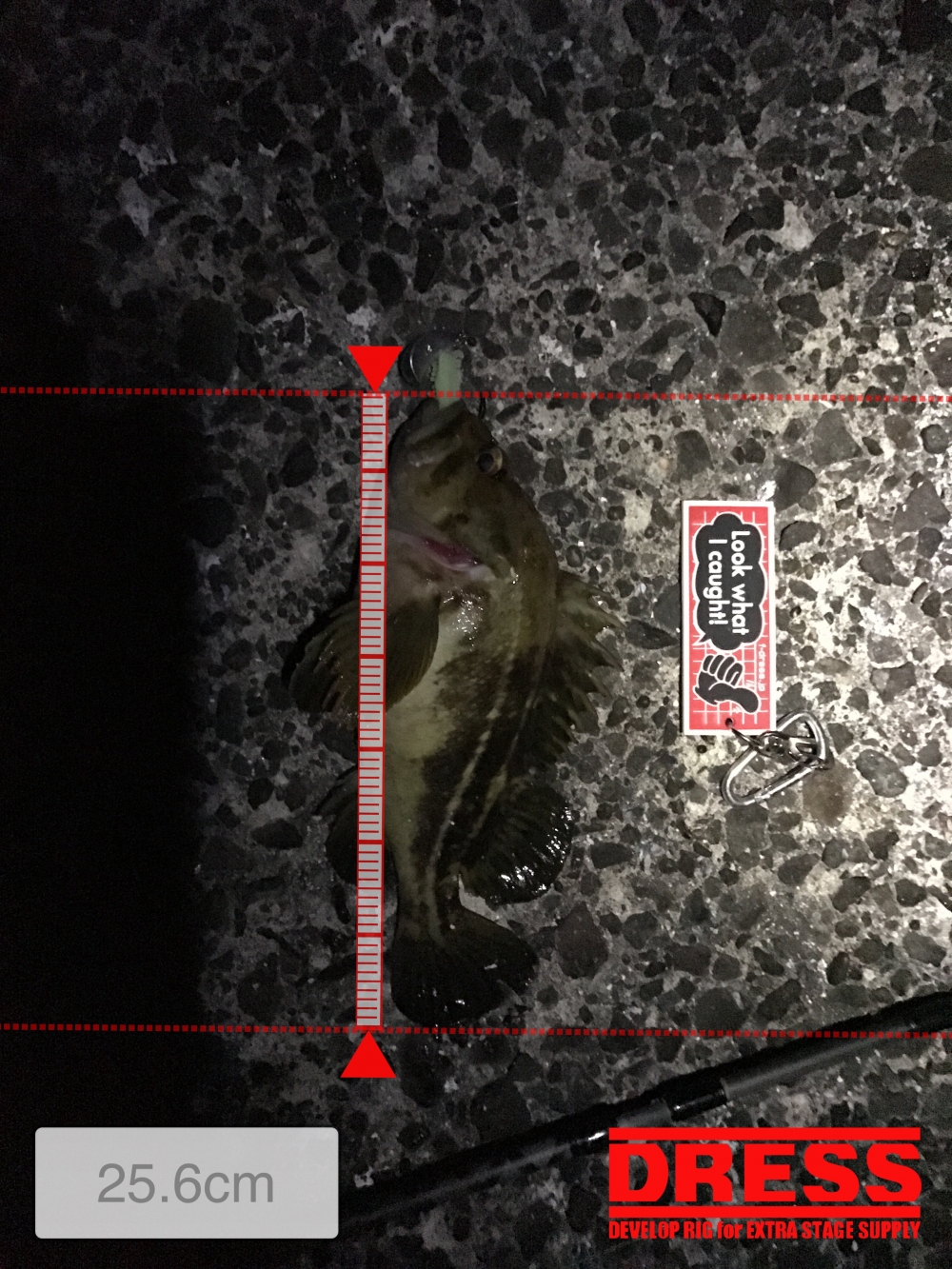 0_3777_829e2fc2818316dc2f49b94585f2c569