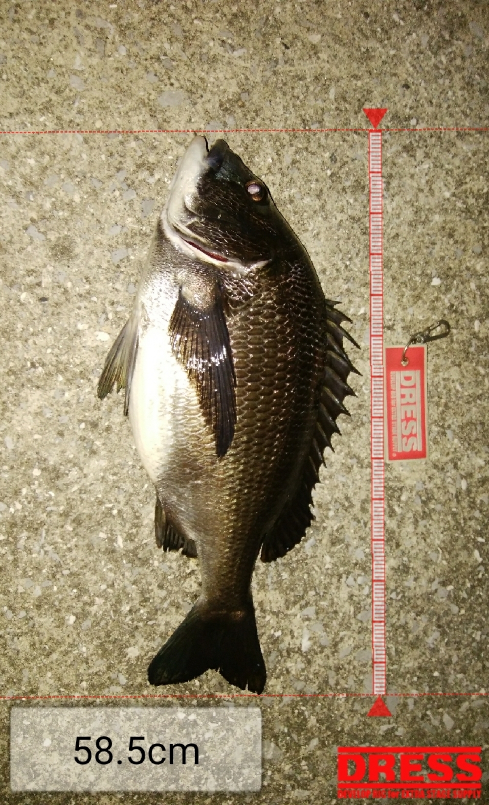 0_3826_6ef8fad9c82fb09b455ffa578ba1ea44