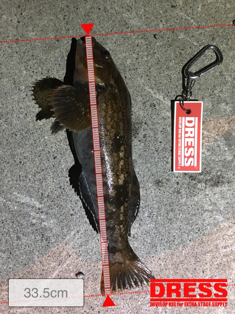 0_387_f5e81f01f2fea04e1ff76f9f57e5e1e4