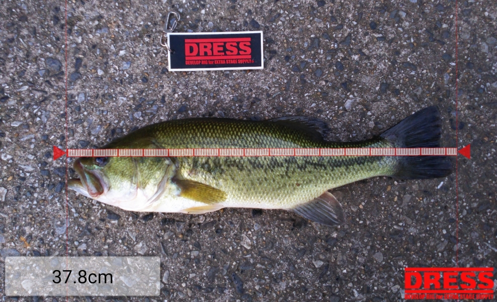 0_4224_c6a009ee13819d9c9fd0f04203b0e29b