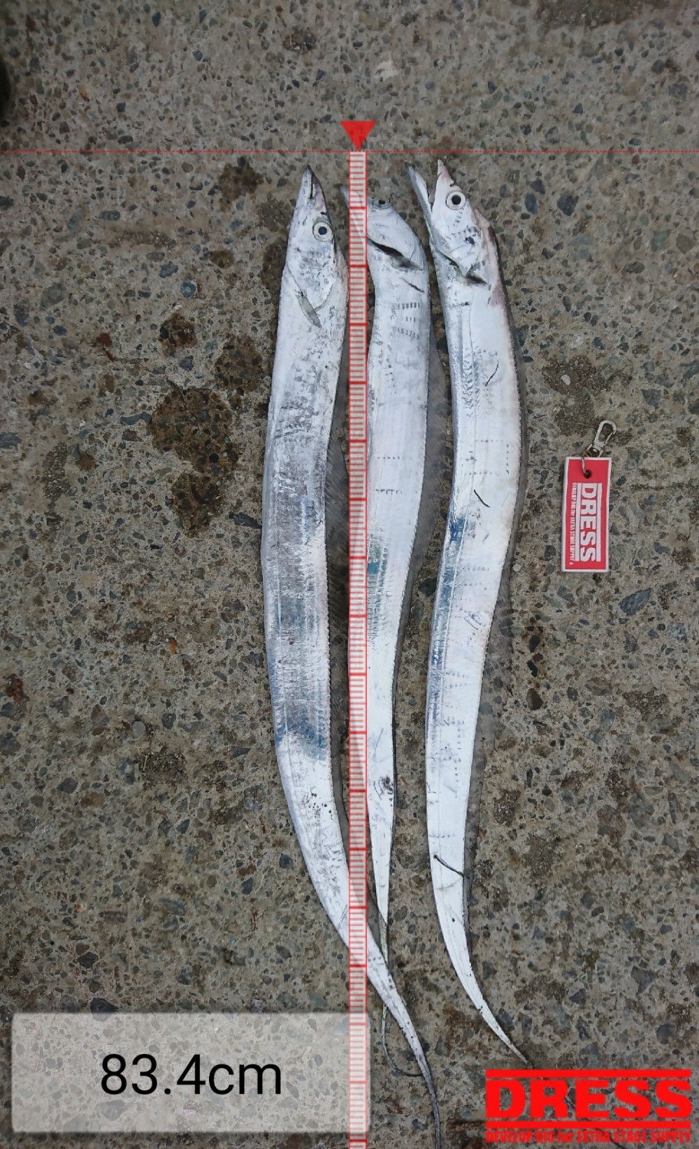 0_4477_7b85498eca1914ce8dd194d7939d69fd