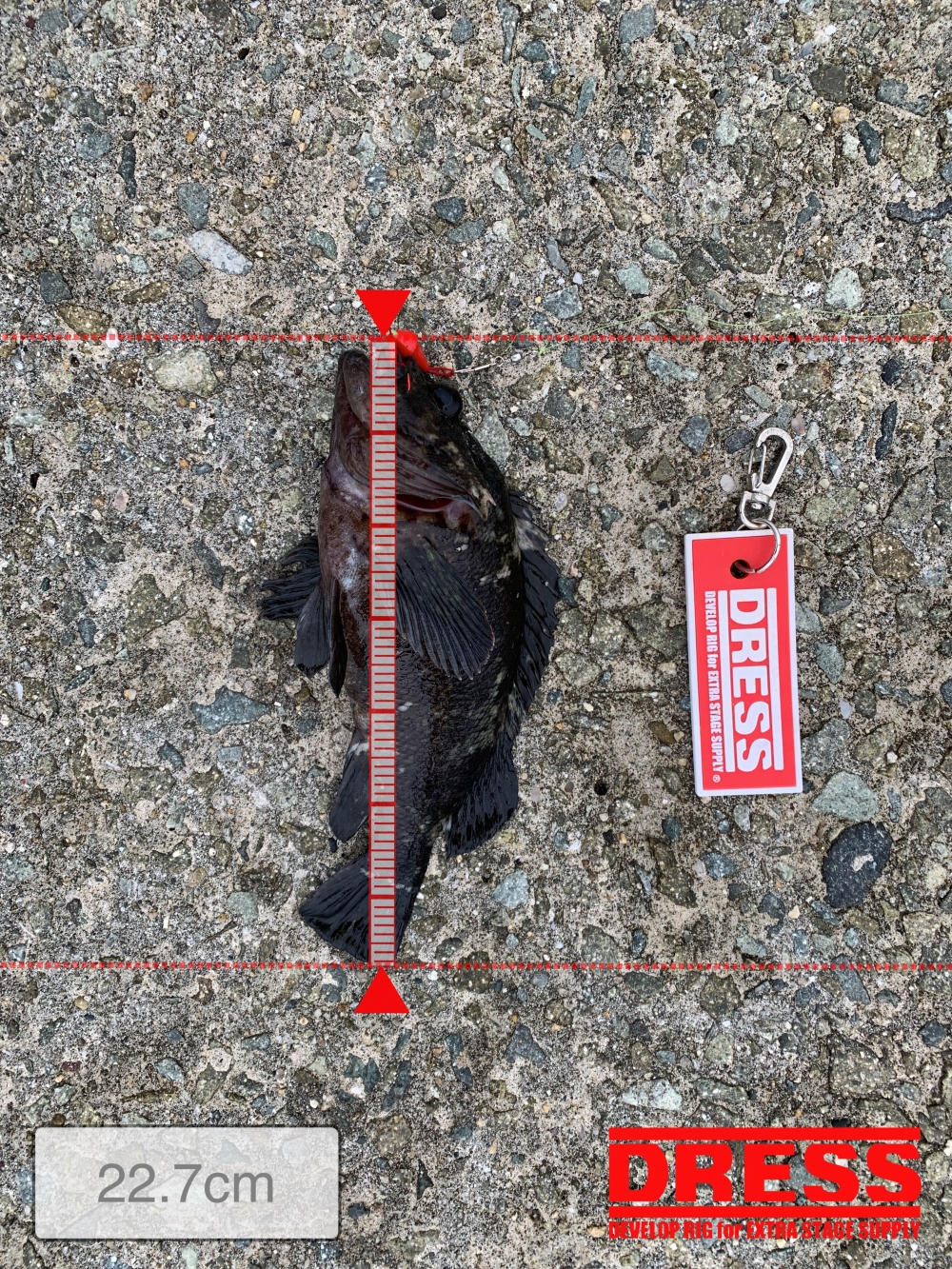 0_4769_9ab4112cf7cb50a598b8d66fa60e5686