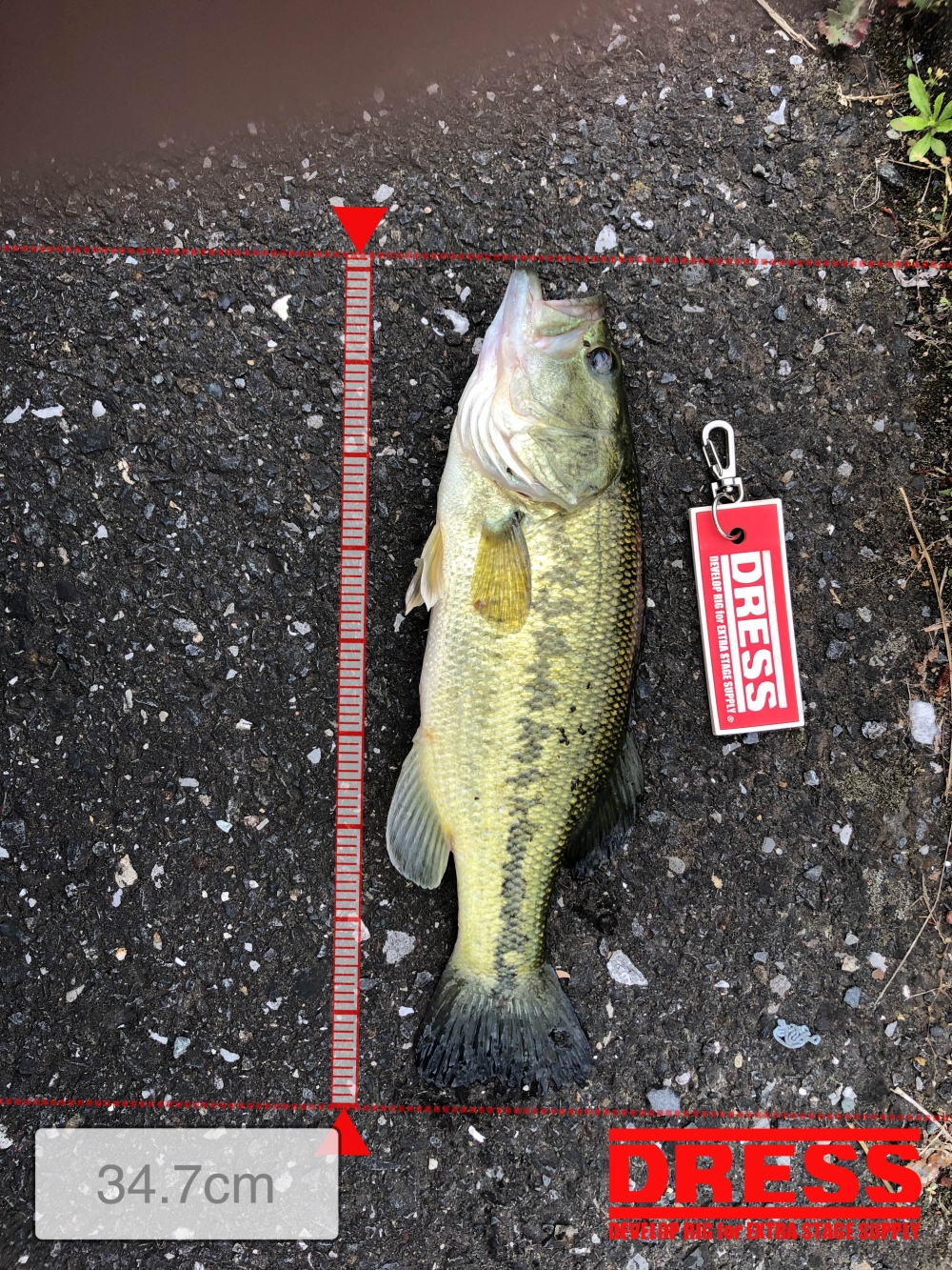 0_4787_ab418cf1969193f713ea12280affbb49