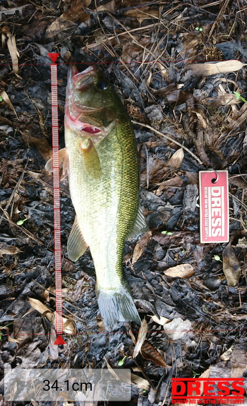 0_5009_3462e3d3dcff82915cf6139464dbebf4