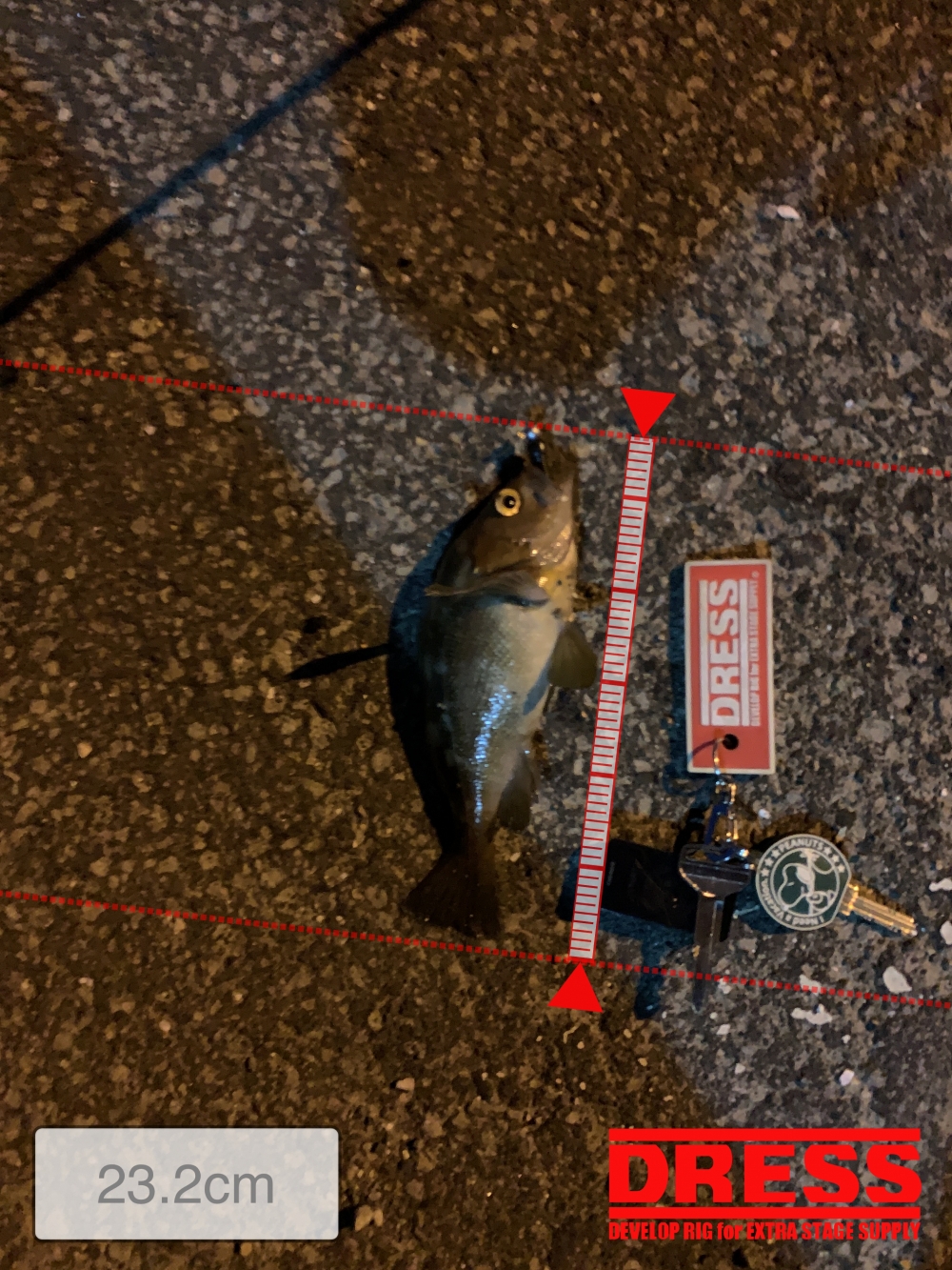 0_5168_335fa37901683836c59945dea449df93