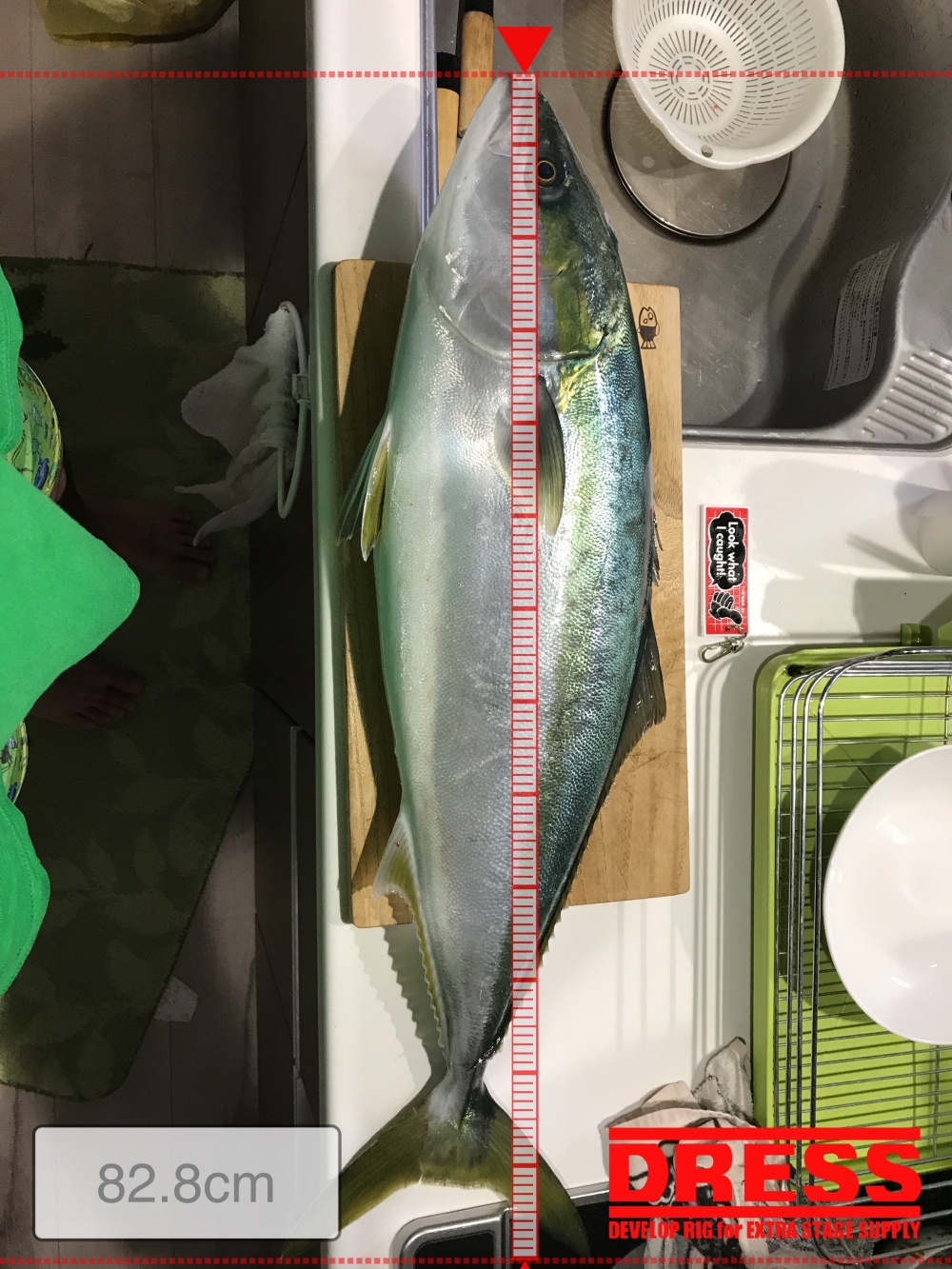 0_5226_e29683e60e86ca4ea79f6e65e45d4ce4
