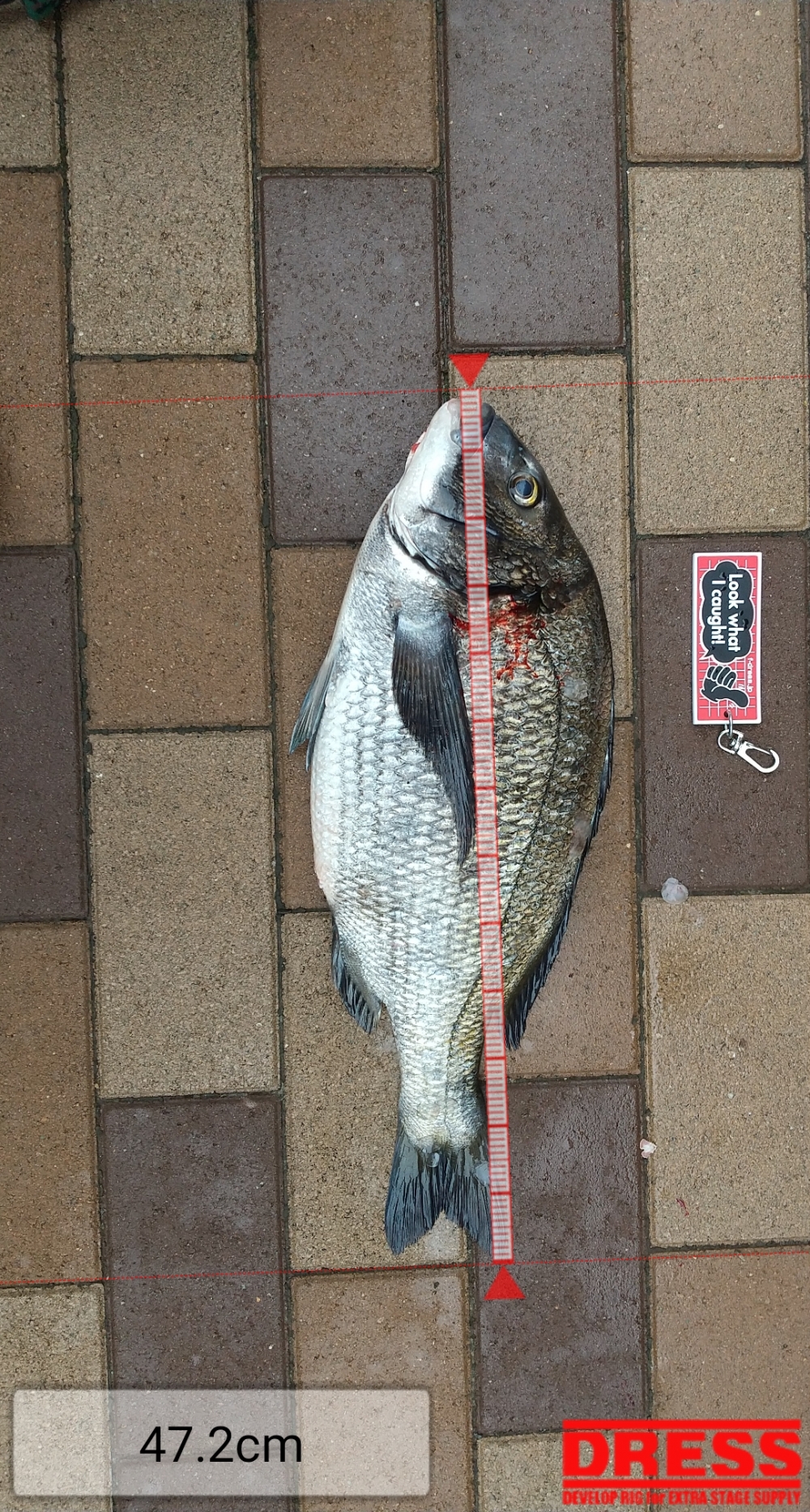0_5350_18f2e4ac713fc09be660ff0a04027cf7