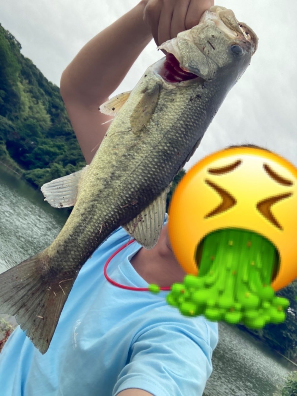 0_5368_df219c5b330a5833a33c24c52e671bbd