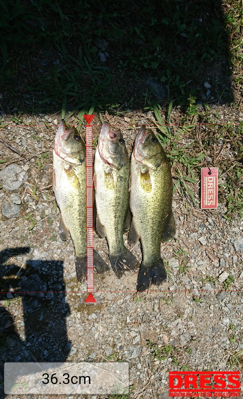 0_5393_6c642cea0692f4516219cd8fd9117140