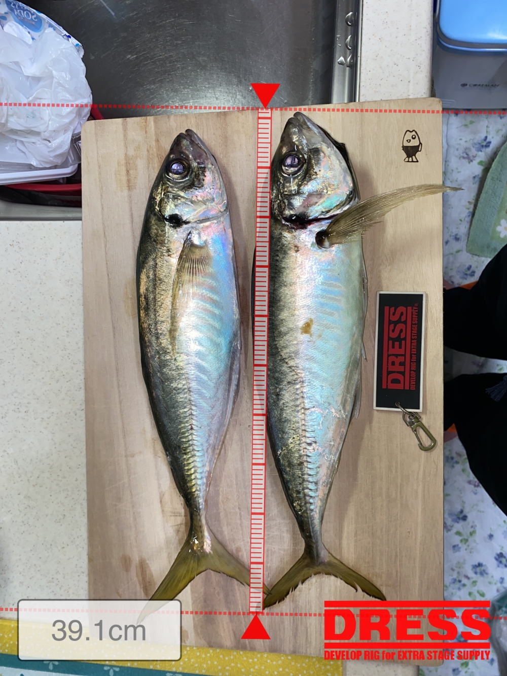 0_5414_3e911152804099fd808c9d78942fc4ac