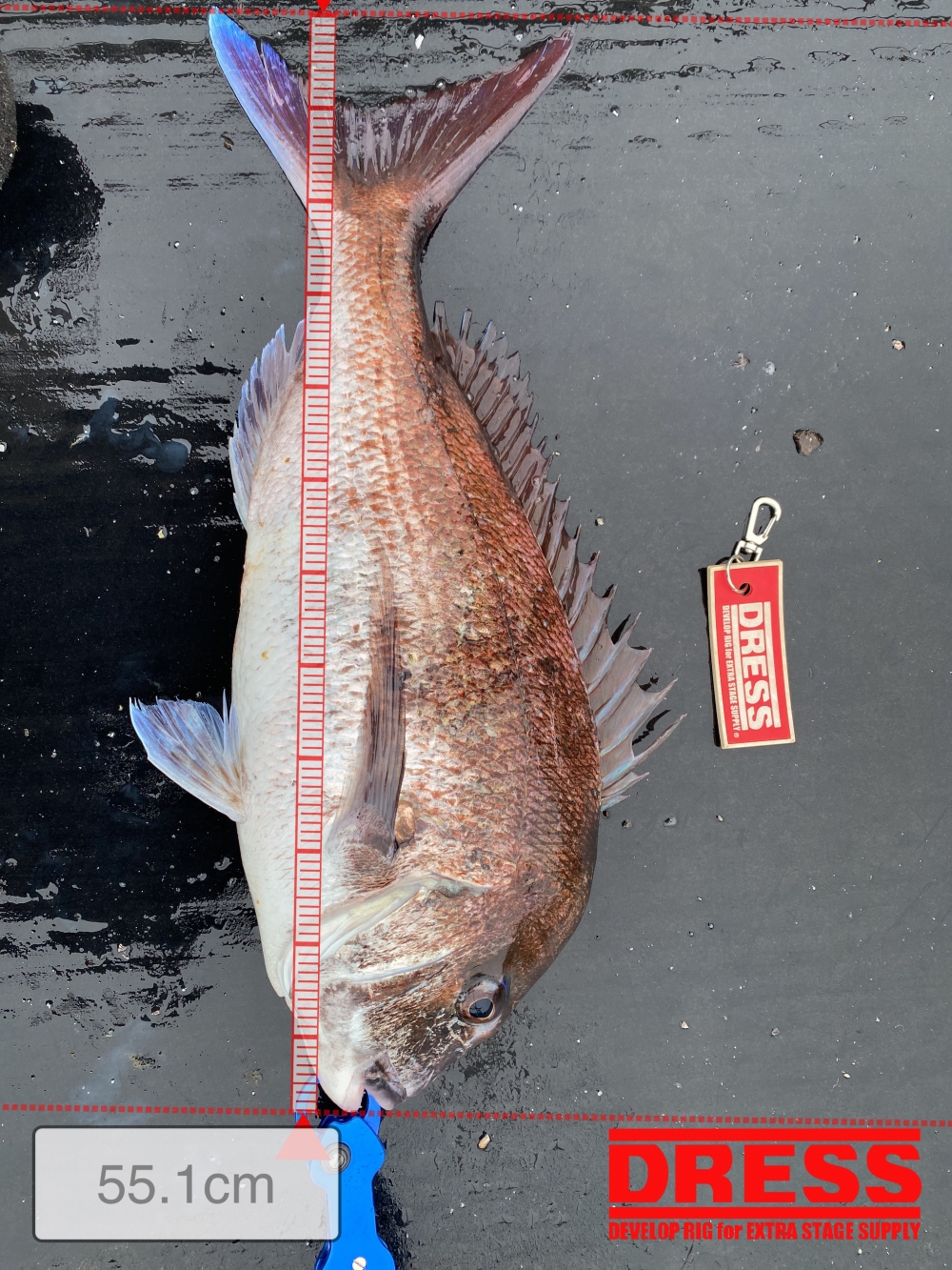 0_5415_6138c2b9e52efb7f5d93b449bb5ea0e1