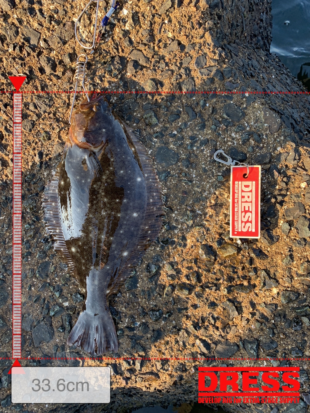 0_5416_e76948d2246e2d76e303d23e0985f504