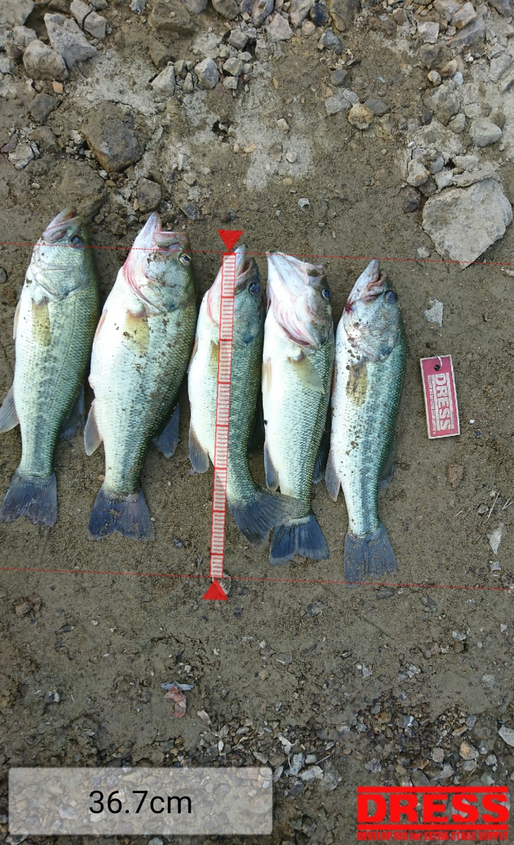 0_5428_647901a54d37eb4ef795c779b0dc7b59