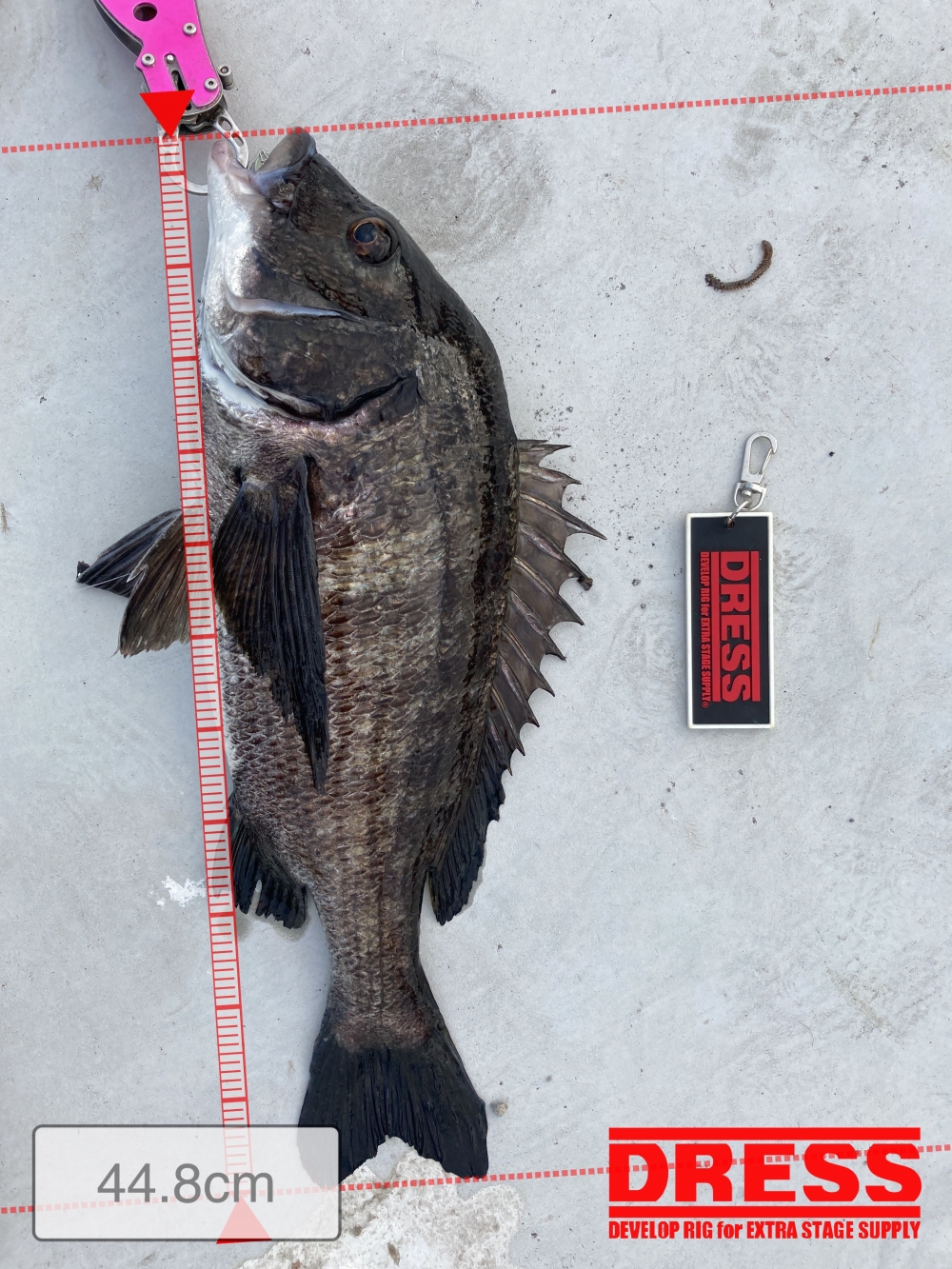 0_5433_e9a5947cad2844a48b9e8abc63ec5a5a