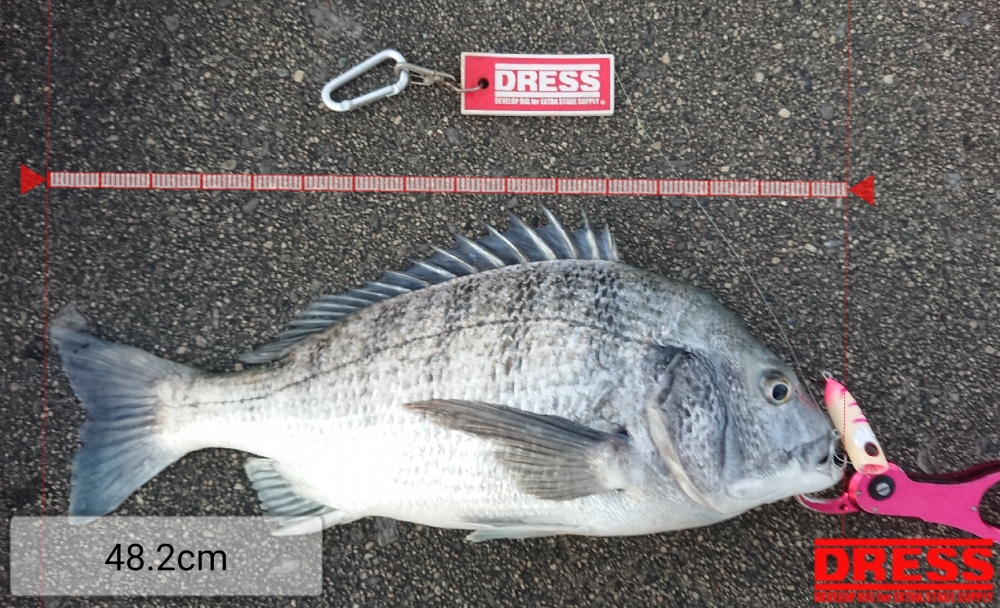 0_5435_0b138fb47781938dd752e545e7356b1e