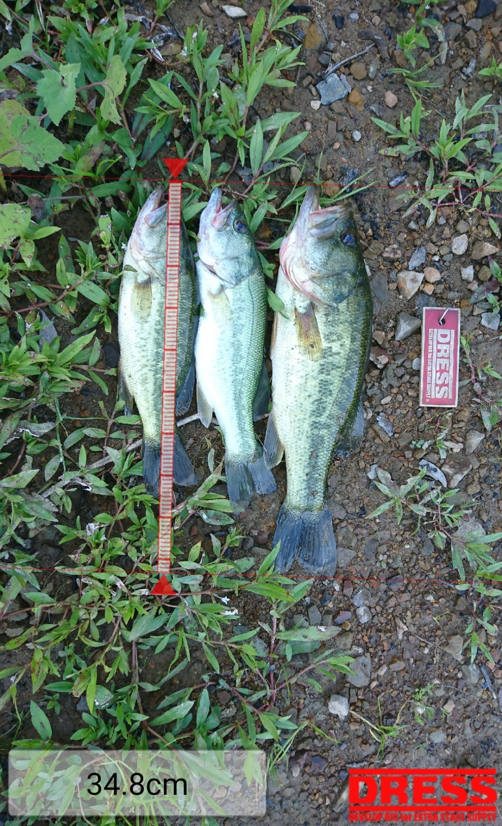 0_5436_1fcb1e09f74d485de9548cd22d5aff70