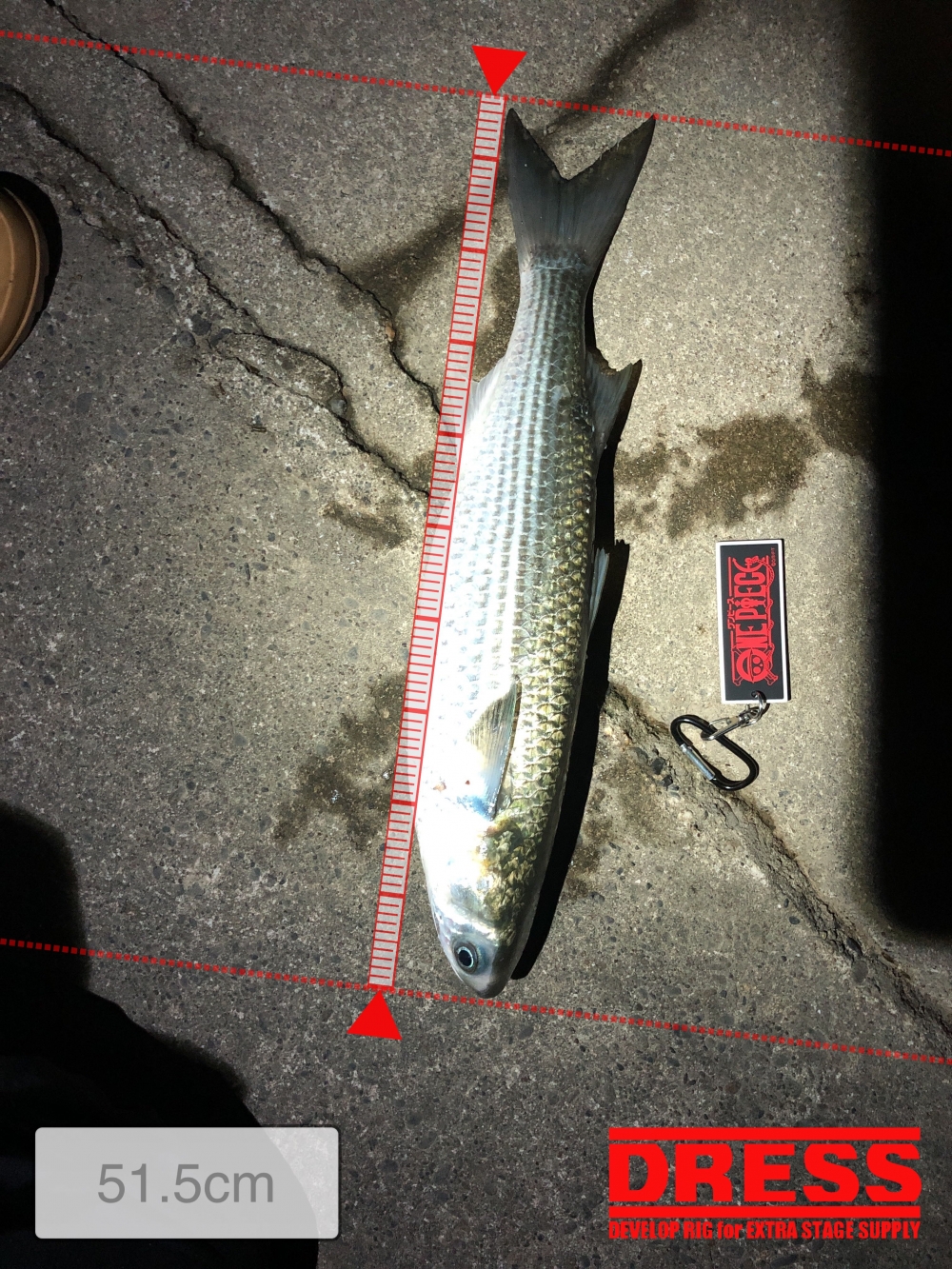 0_5437_34561d9ec0bfeaa02b1358e8b7b749c8