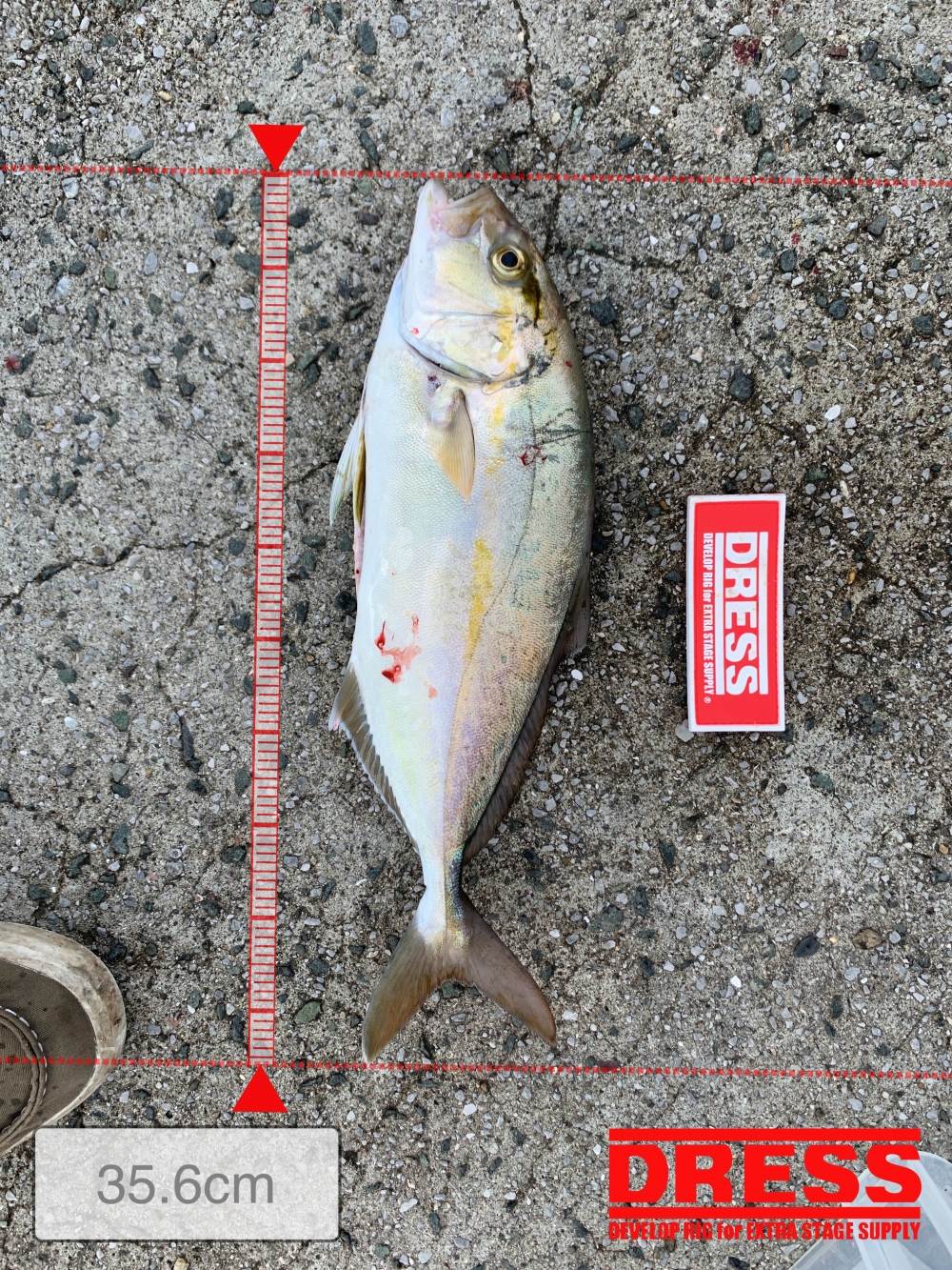 0_5446_911e4c4a2c2f99ff8ad2e4e2c83aca7b