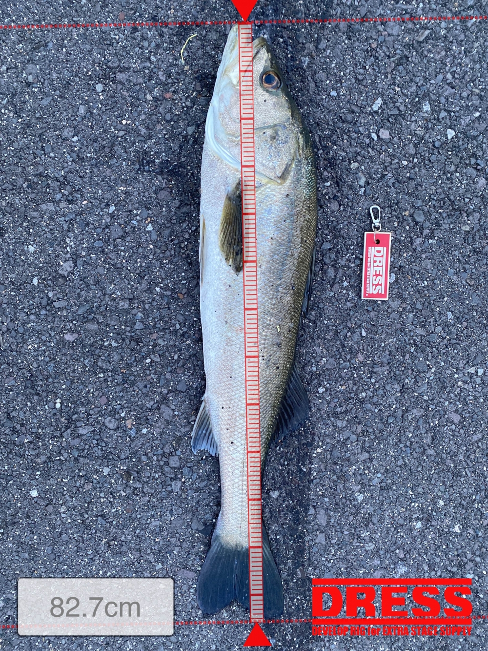 0_5449_017c39eaec9522a26887ac582829b31e