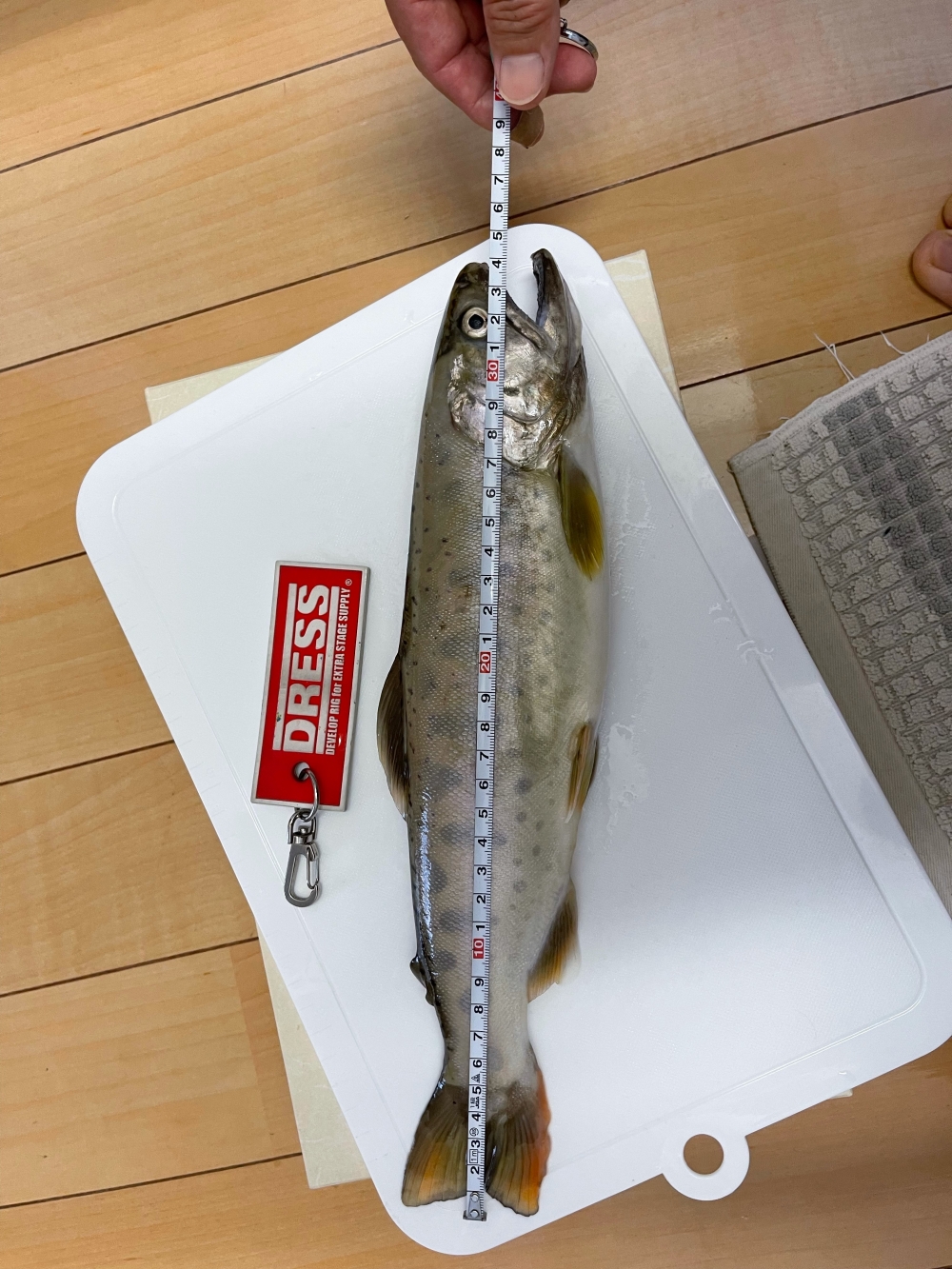 0_5450_8a7d9f2664f10d0ae4e7b31231ce6e2c