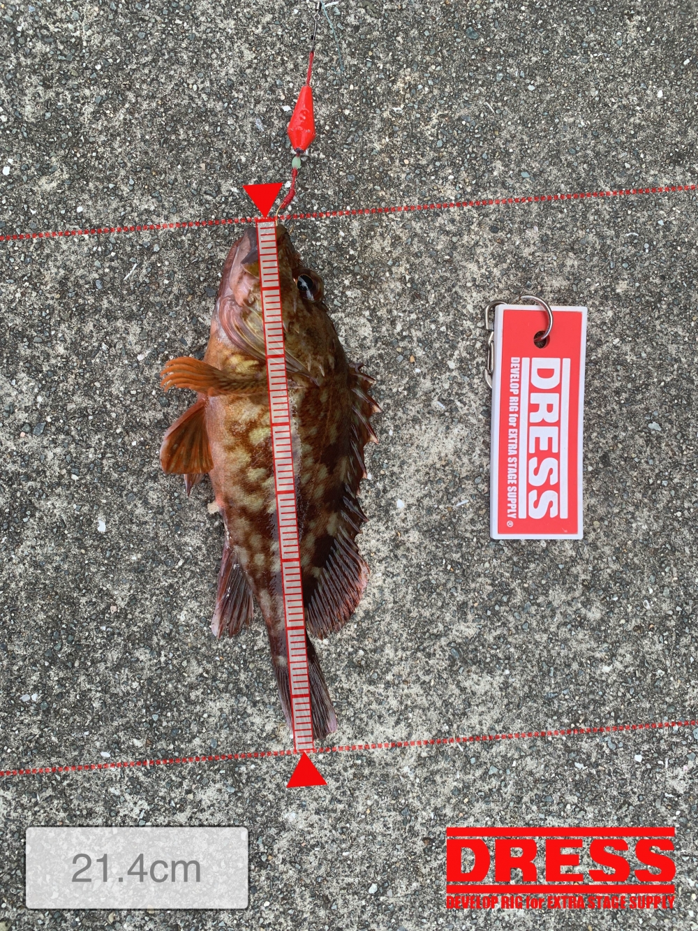 0_5454_3e359c93b8d0dea540c947564bad7c51