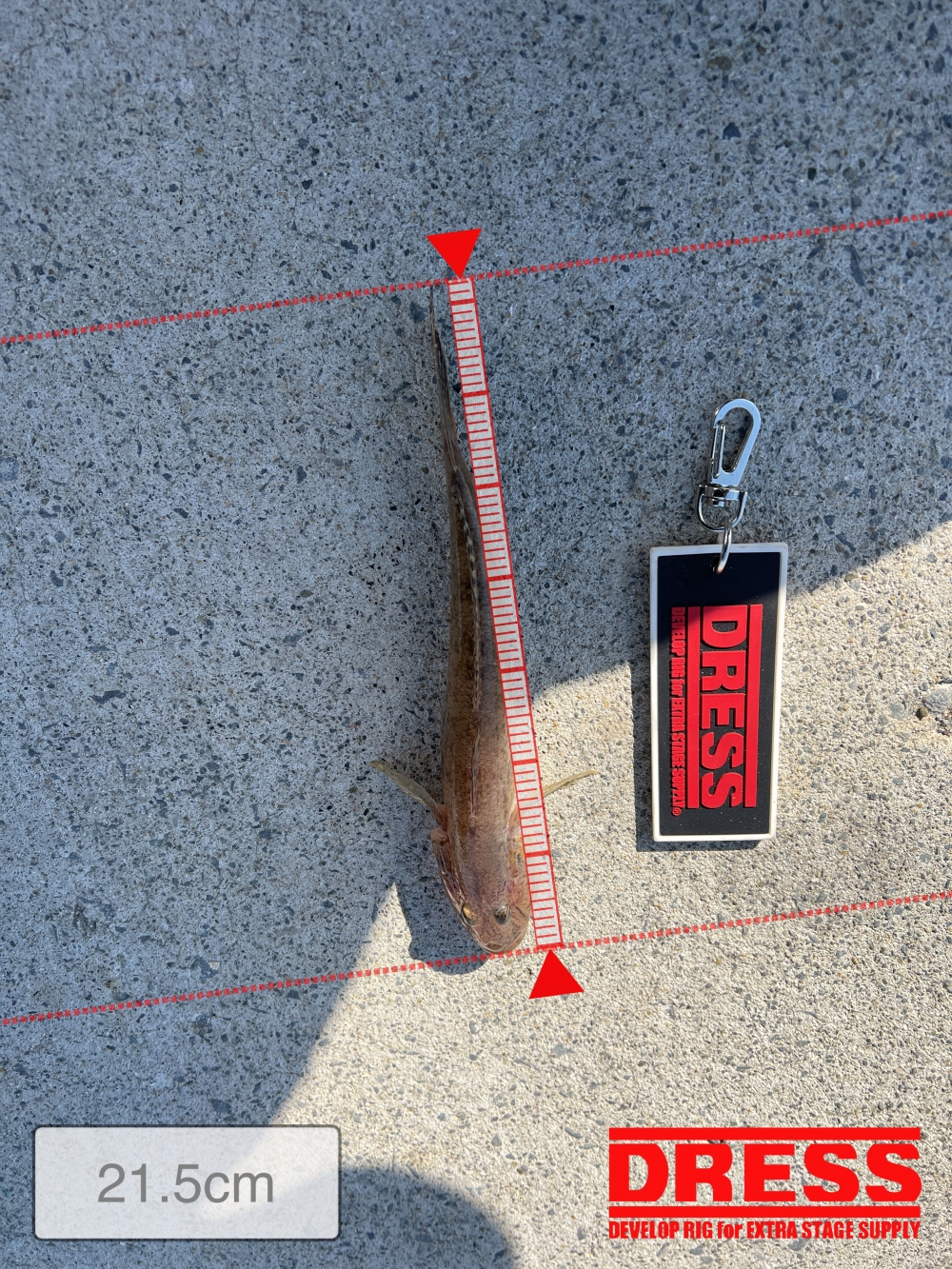 0_5491_fc0b2787a510da0715c66b6df0873c11