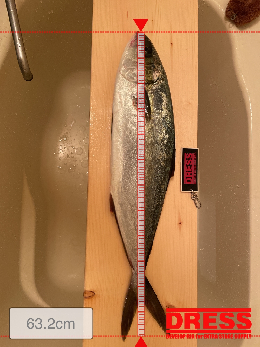 0_5492_afa4c4e721b2d1e0918c0dad4052e16a