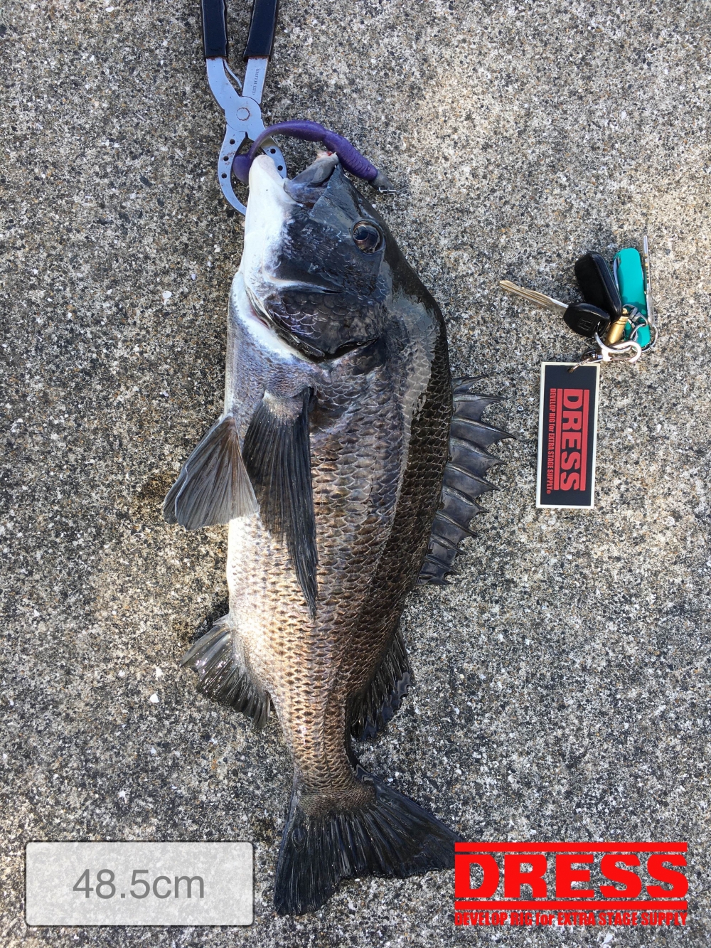 0_5493_3044881bd0f9427c873ae3afe79355b1