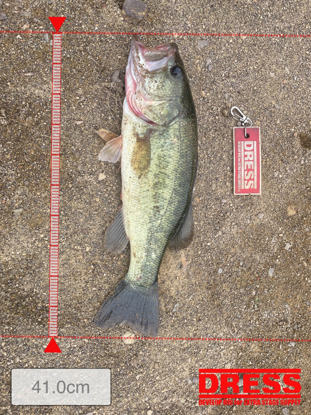 0_5498_ccfa62dade25b517eb20db983b40c5ca