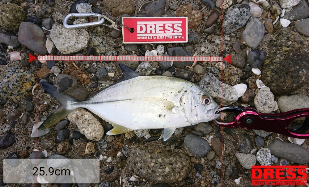 0_5500_eaf4ec68f6c124717f01df81fcda7f0f