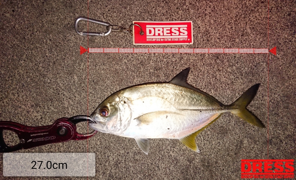 0_5501_707833b11fa685f0de3be6ed4bb8af51