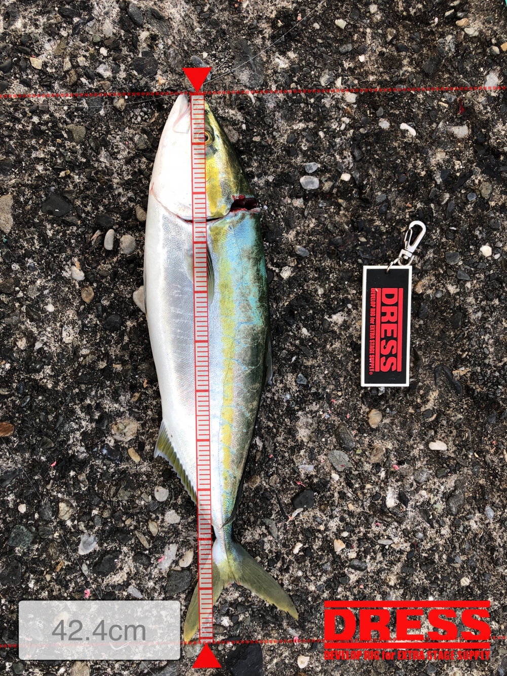 0_5502_b2acf1478b28f637b93ba8ae79204497