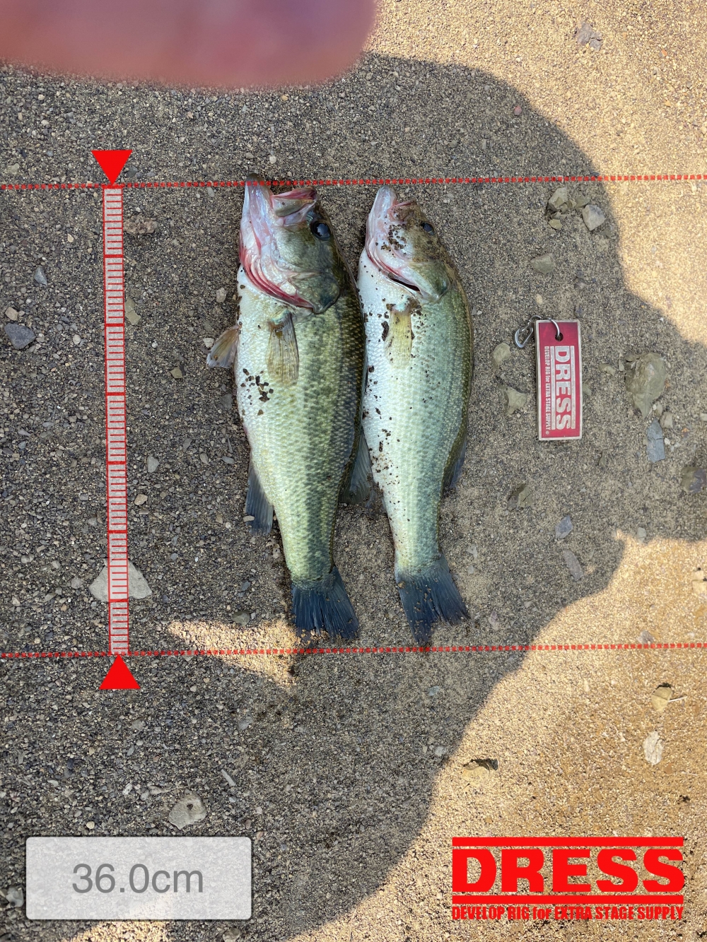 0_5504_151381c8e3fa1761cfe29ee3b3b44eb7