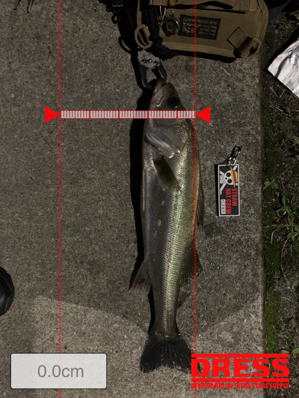 0_5505_631593542eff2b87ebdc4f5a310320c6