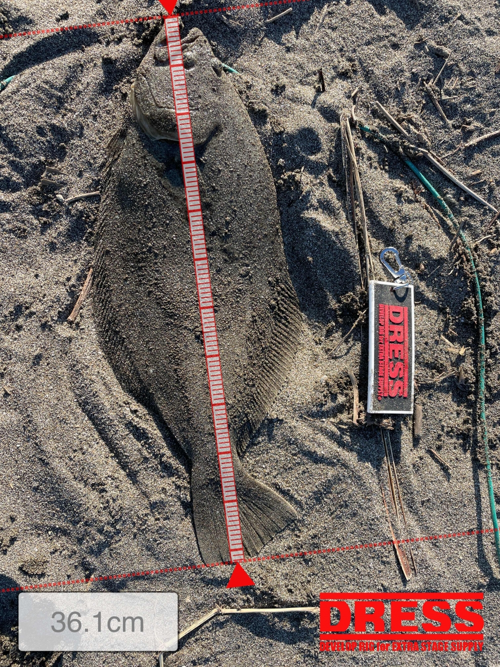 0_5509_eaff2336b9a5995002bede726ebd3882