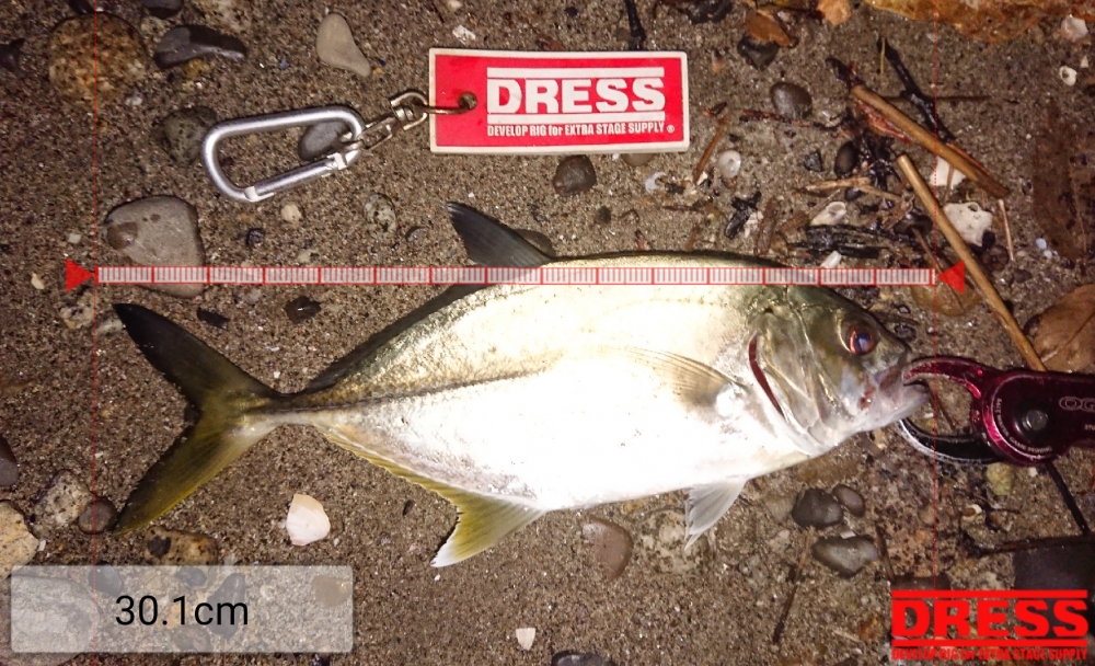 0_5510_cd0c9902131f5e34151f9eff637e7d78