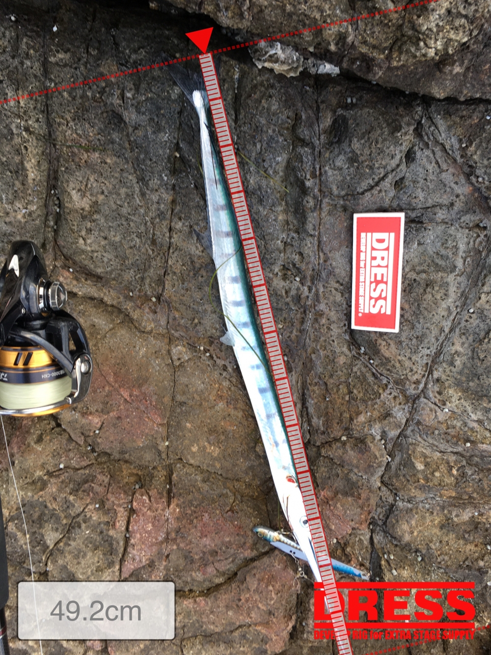 0_5513_7d897b49fa9a63298414df2fa13a3100